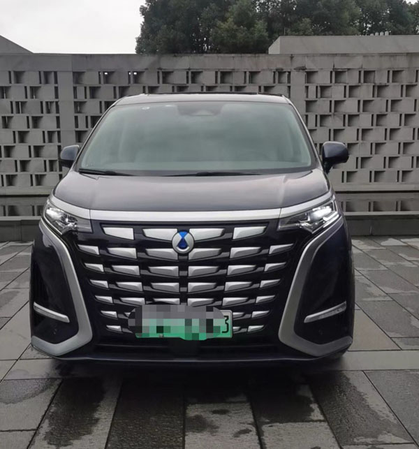 腾势D9