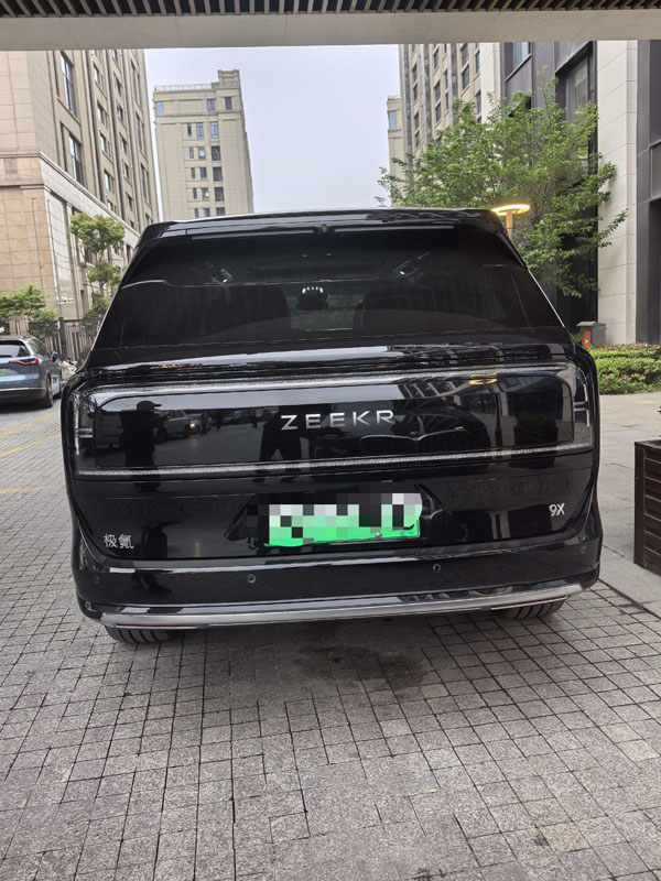极氪9X