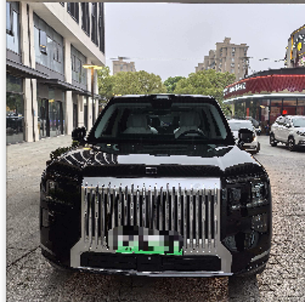 极氪9X